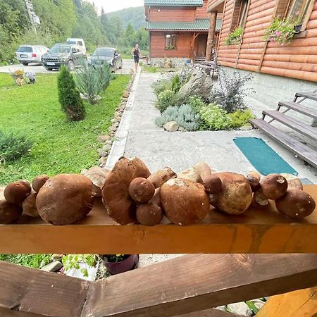 Villa Na Uzlissi Migovo Bagian luar foto