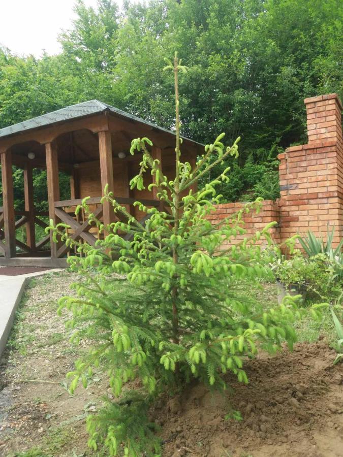 Villa Na Uzlissi Migovo Bagian luar foto