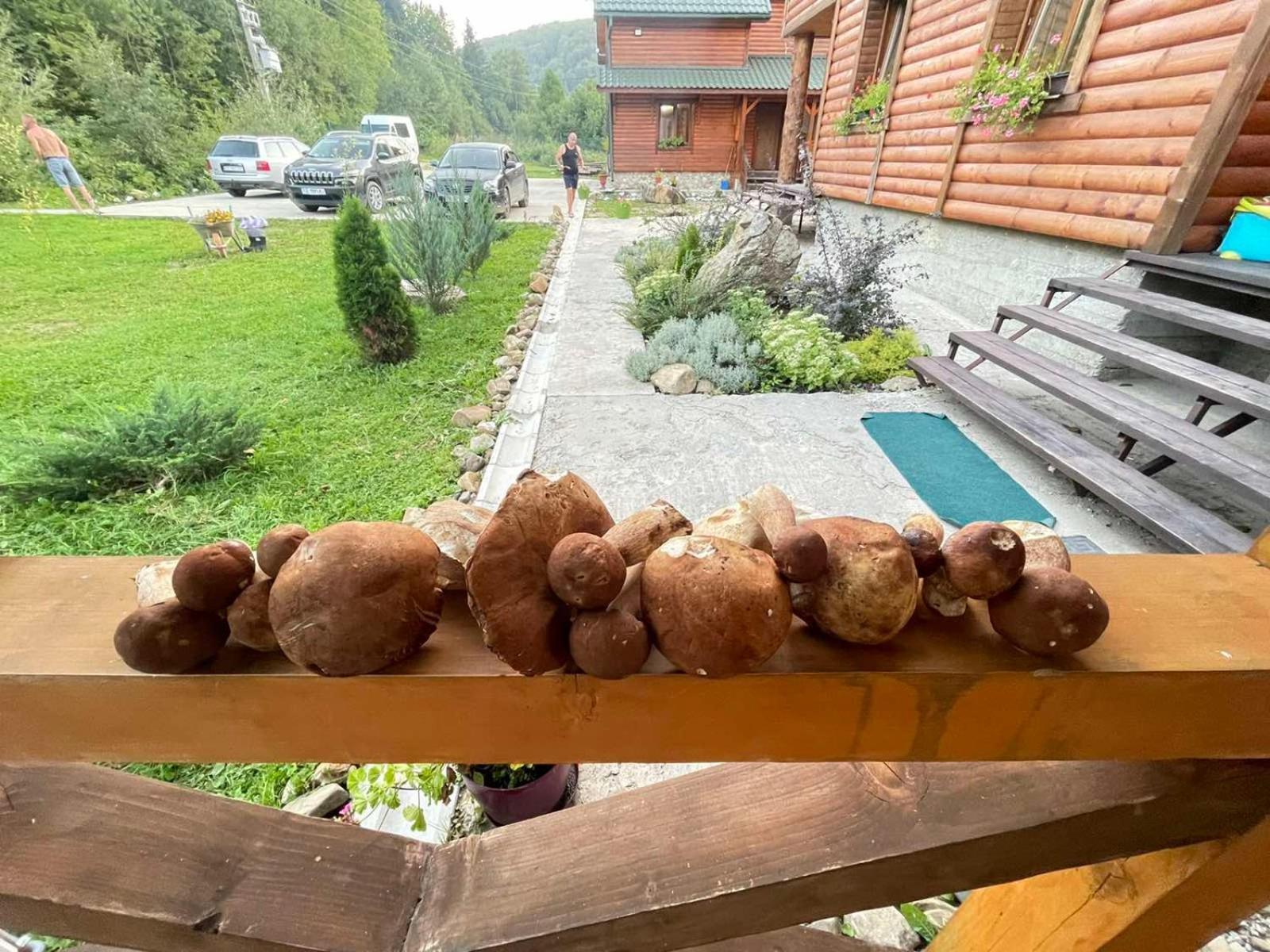 Villa Na Uzlissi Migovo Bagian luar foto