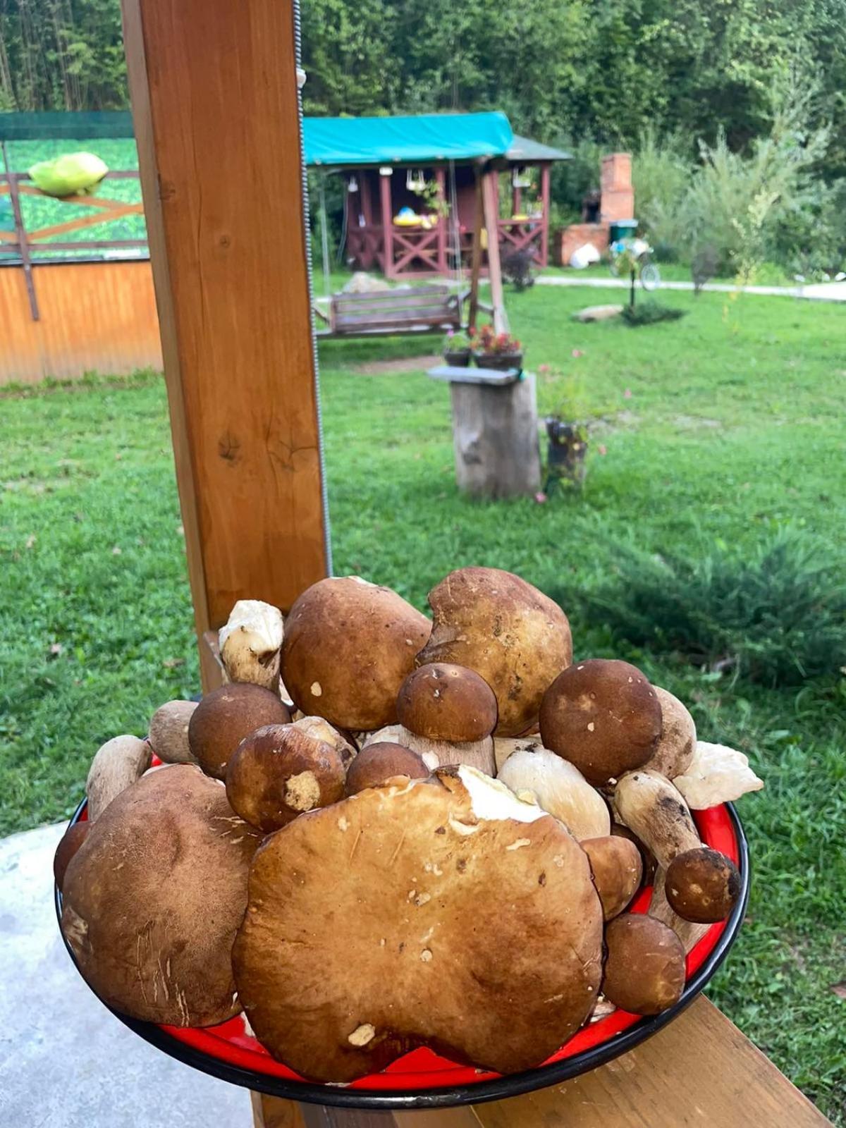 Villa Na Uzlissi Migovo Bagian luar foto
